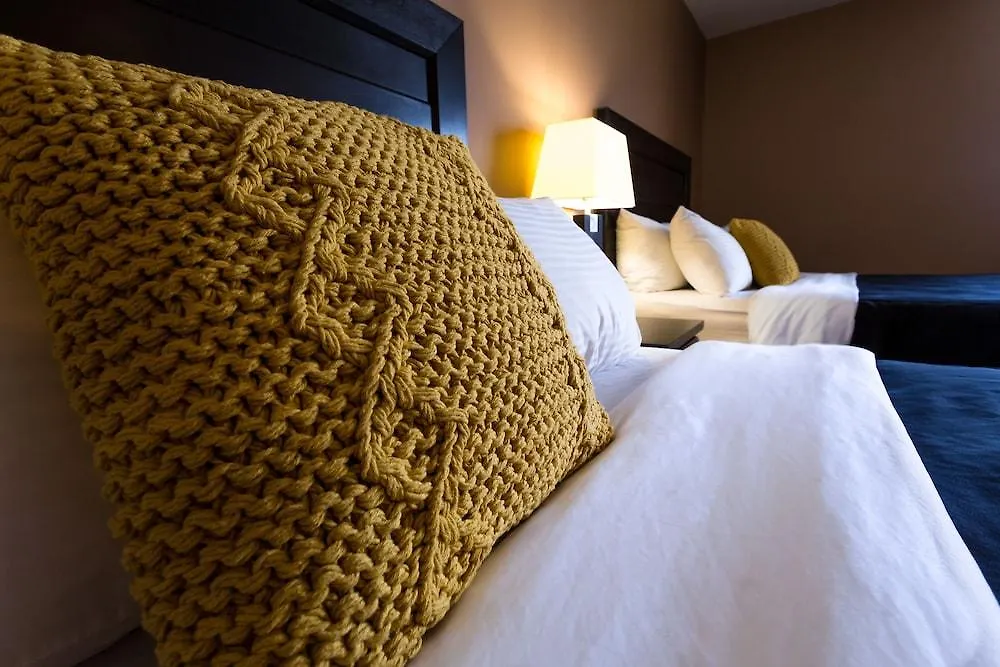 ***  Royal Hotel Edmonton Airport Trademark Collection By Wyndham Leduc Kanada
