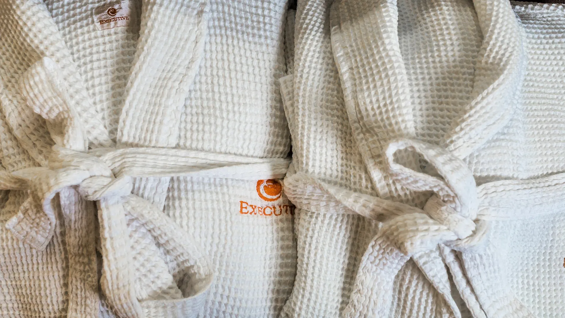 Royal Hotel Edmonton Airport Trademark Collection By Wyndham Leduc